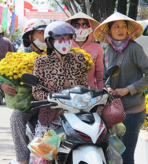 Rực rỡ thành phố trẻ Cà Mau - ảnh 5